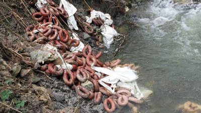 Dereye atılan yüzlerce kilo sucuk at eti çıktı