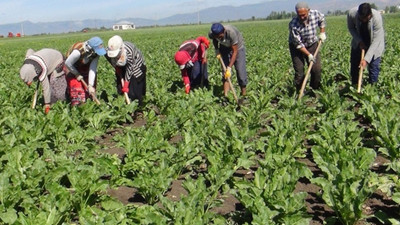 Geriye bir tek hava kaldı: Çiftçinin suyu satıldı, toprağı satılıyor