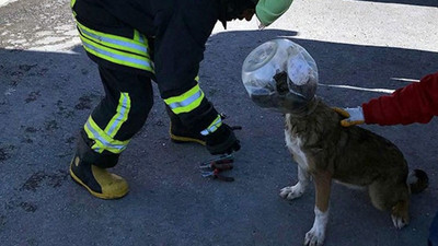 Kafası bidona sıkışan köpeği itfaiye ekipleri kurtardı