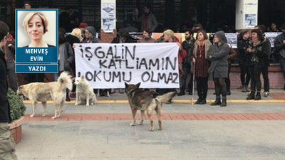 Boğaziçili çocuklar