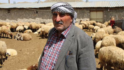 Besiciler yayla yasakları nedeniyle mağdur