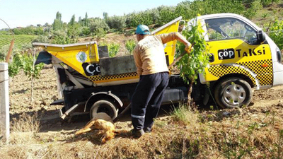 Manisa'da hayvan katliamı