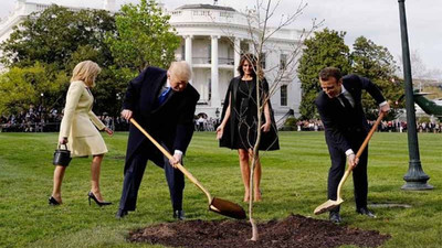 Macron ile Trump'ın Beyaz Saray'da diktiği fidan kayboldu