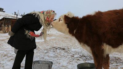 Sibirya'da tek başına