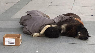 Köpeğine sarılarak uyuyan çocuk yürekleri sızlattı