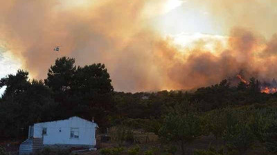 Çanakkale'de orman yangını