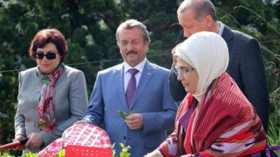 'Danıştay Başkanı'nın Erdoğan'la çay toplaması özel hayat'