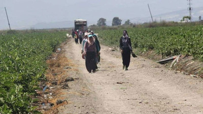 Manisa’da bir kadın çalıştığı tarlada ölü bulundu