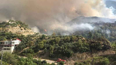 Hatay'da orman yangını çıktı