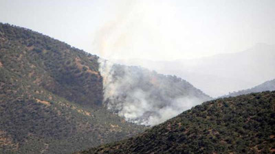 Dersim'de orman yangını