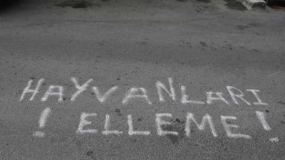 Komşularına kızınca sokağa 'Hayvanları elleme' yazdı