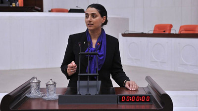 HDP'li Uca, hastanelerdeki sorunları Meclis'e taşıdı