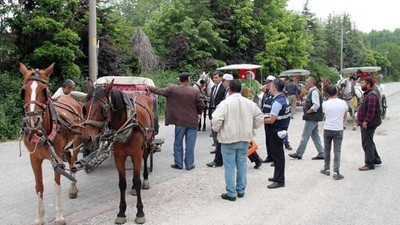 Atlar için 6 saatlik çalışma sınırı