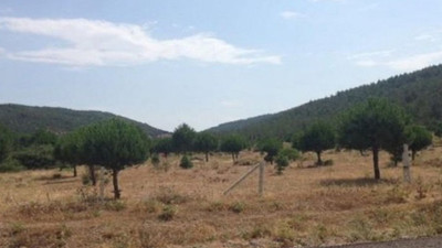 Kınık'taki zeytinliğe maden ocağı onayı