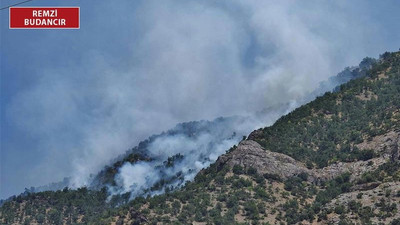 Dersim'de ormanlar yanıyor, müdahaleye izin verilmiyor