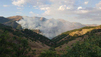 'Yangına müdahale edilmezse köyümüz yanacak'