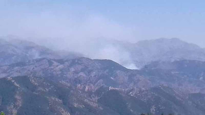 Dersim’deki orman yangını için harekete geçme çağrısı