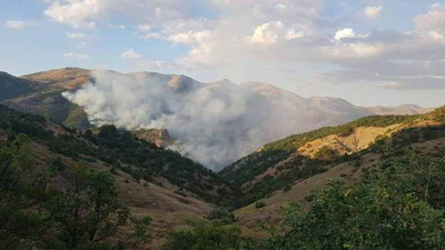 Dersim'de bir orman yangını daha