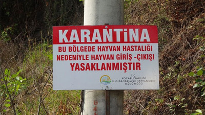 Gölcük'te şarbon karantinası