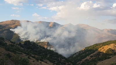 Almanya'da Dersim'deki orman yangınları için çağrı