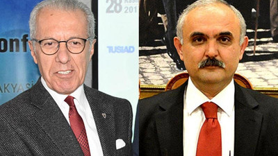 Vali yardımcıları kedi yüzünden mahkemelik oldu