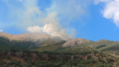 Dersim Zel Dağı’nda çıkarılan yangın büyüyor