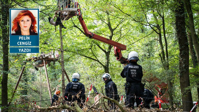 Direnişin ekolojik hali: ZAD, Hambach Forest, Kuzey Ormanları