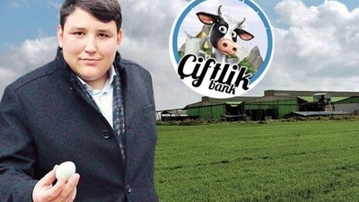 'Af teklifi onaylanırsa Tosuncuk cezasını 5 yıl eksik çekecek'