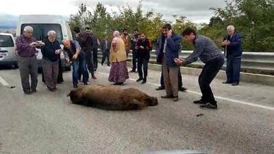 Ayıyı öldürüp arkasından beddua etti