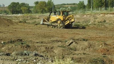 AOÇ’de mavi ladinler de kesildi