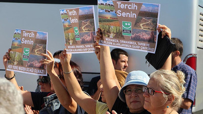 Mahkeme 136 yıl boyunca işletilmesi planlanan taşocağına 'dur' dedi