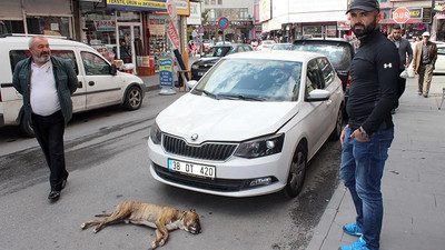 Park halindeki otomobilin üzerine 5’inci kattan köpek düştü