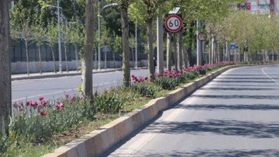 Renk korkusu, sarı laleleri söktürdü