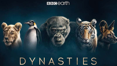 BBC Earth'ten etkileyici belgesel: Soylar