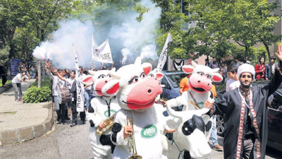 'İnek Bayramı' provokasyonu