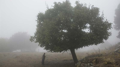 Nar Photos'tan yılbaşı özel edisyonu