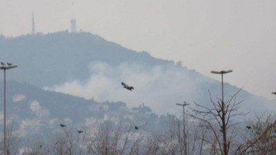 Büyükada'da yangın: 9 at yanarak can verdi