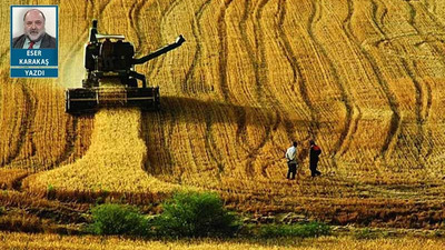 Tarım fiyatları artışında neden şampiyonuz?