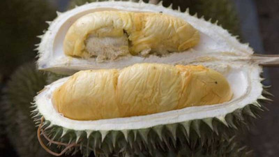 Durian: 3 yılda bir yetişen meyvenin tanesi 5280 liraya satılıyor