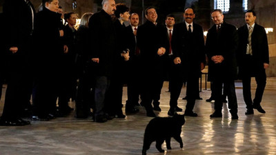 Çipras'ın Ayasofya ziyaretinde kara kedi sürprizi