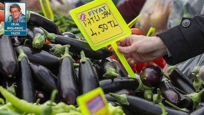 Memleketin bekası patlıcana, istikrarı soğana bağlı