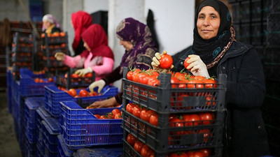 Sebzede sel geçti, kumu kaldı geriye