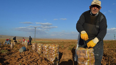 Patatesçiler: Kararnameyi görünce şok olduk