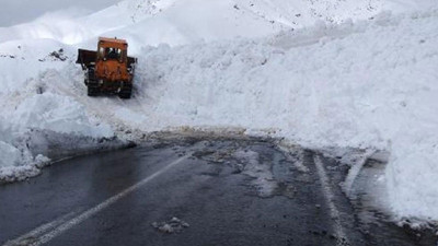 Van-Hakkari karayoluna çığ düştü