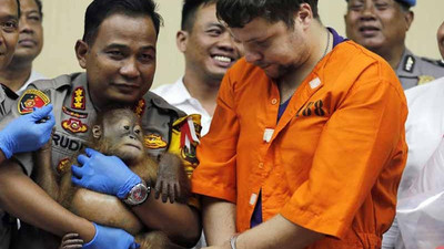 Yavru orangutanı bavulunda kaçırmaya çalıştı