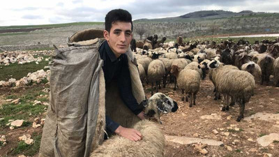 18 yaşındaki çoban ilk kez oy kullandığı seçimlerde muhtar oldu