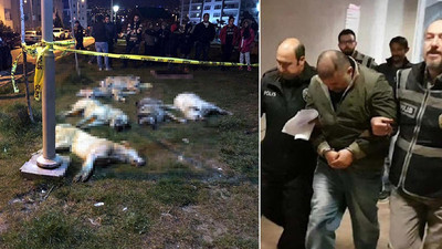 16 köpeği zehirleyenlerin serbest kalmasına itiraz reddedildi