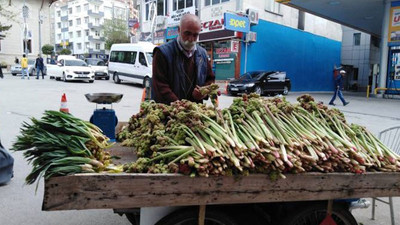 Mezopotamya'nın şifalı bitkisi Işkın tezgahlardaki yerini aldı