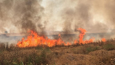 Irak: IŞİD tarım arazilerini yakıyor