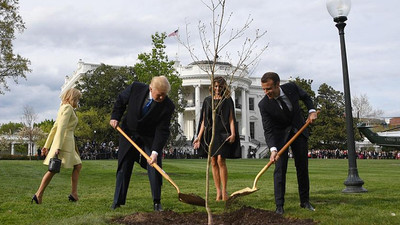 Trump'la Macron'un Beyaz Saray'ın bahçesine diktiği 'dostluk fidanı' kurudu